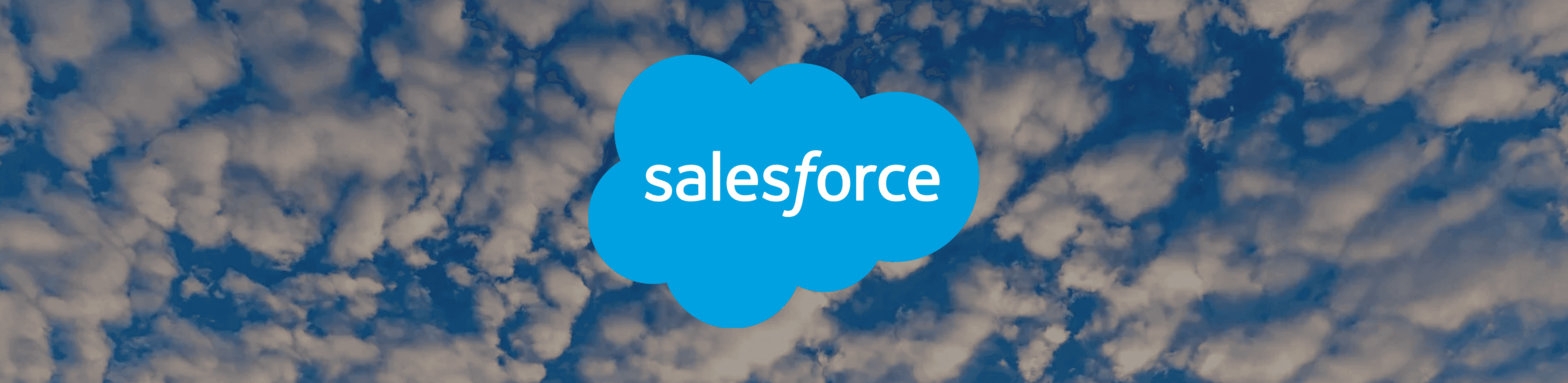 Salesforce customer story